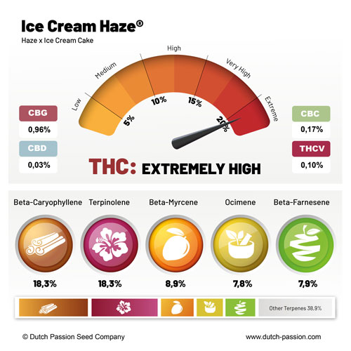Ice Cream Haze terpenes